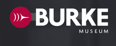 The Burke Museum